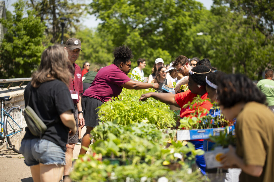 Go to The Four Sisters Urban Farm is Hosting the Annual Seedling Giveaway on May 17th 