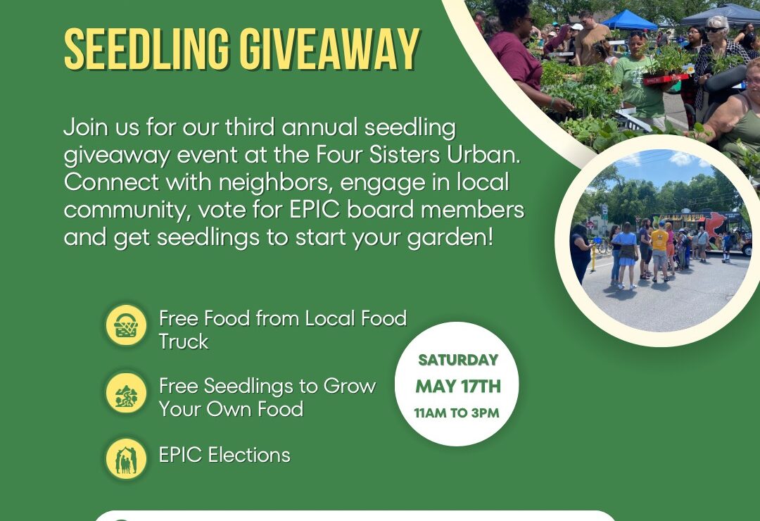 Go to 3rd Annual Seedling Giveaway at the Four Sisters Urban Farm