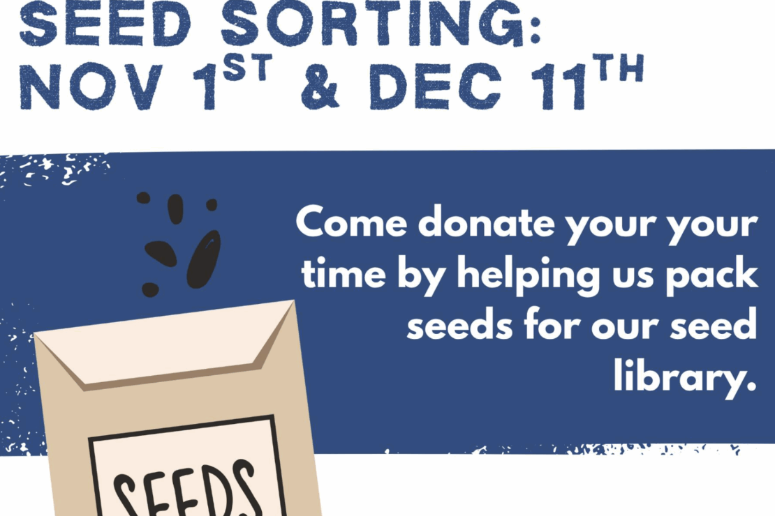 Go to Seed Packing Workshop